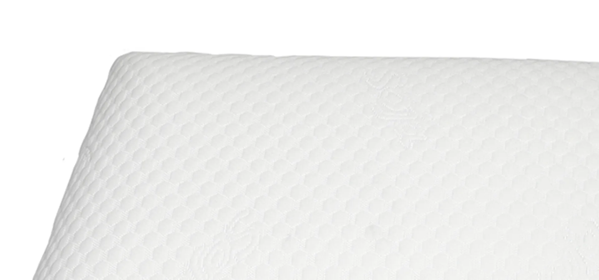 <?php echo $titleSelectedCat; ?>