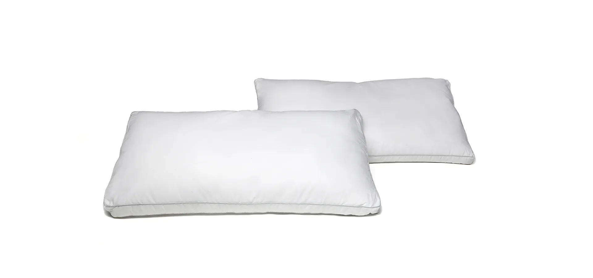 <?php echo $titleSelectedCat; ?>