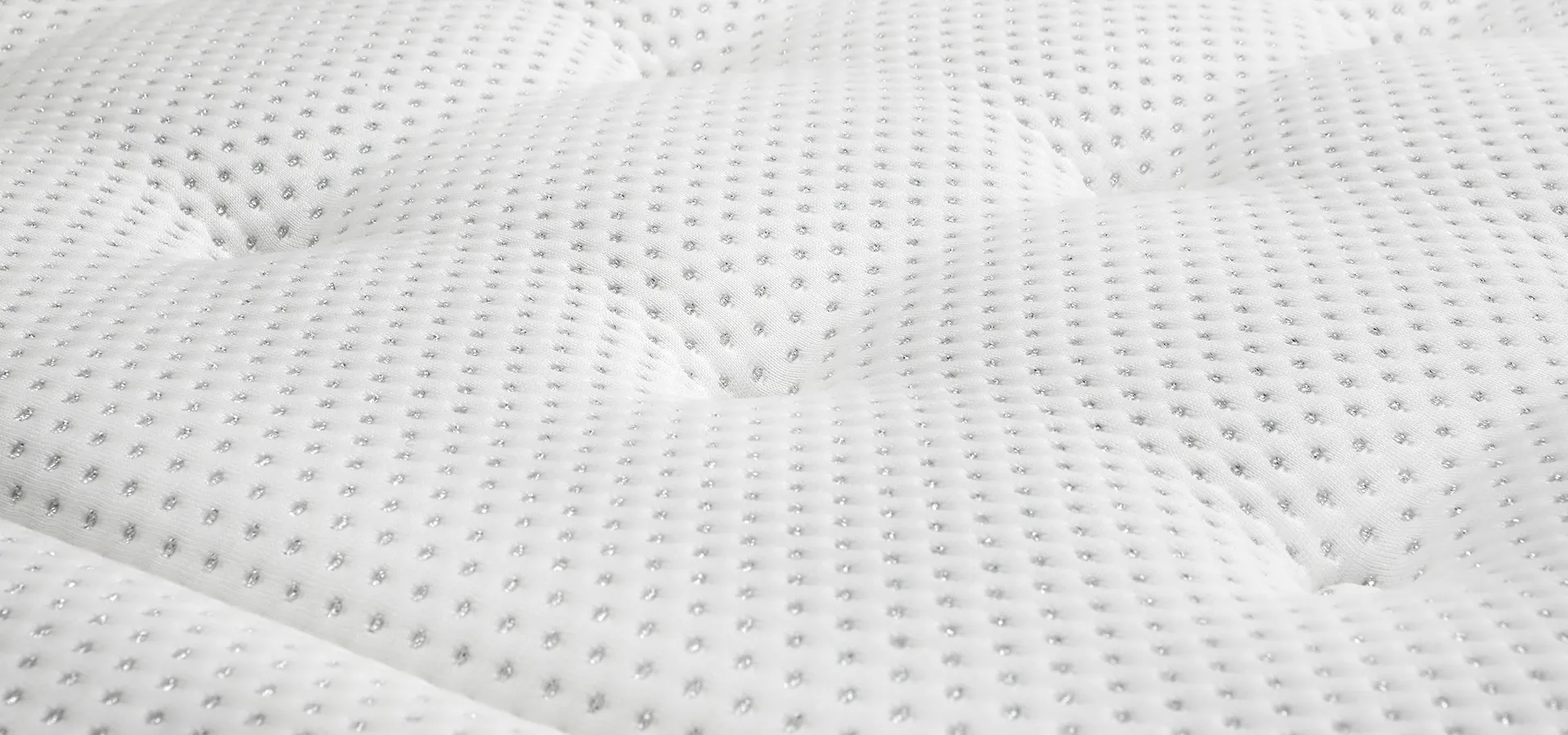 <?php echo $titleSelectedCat; ?>