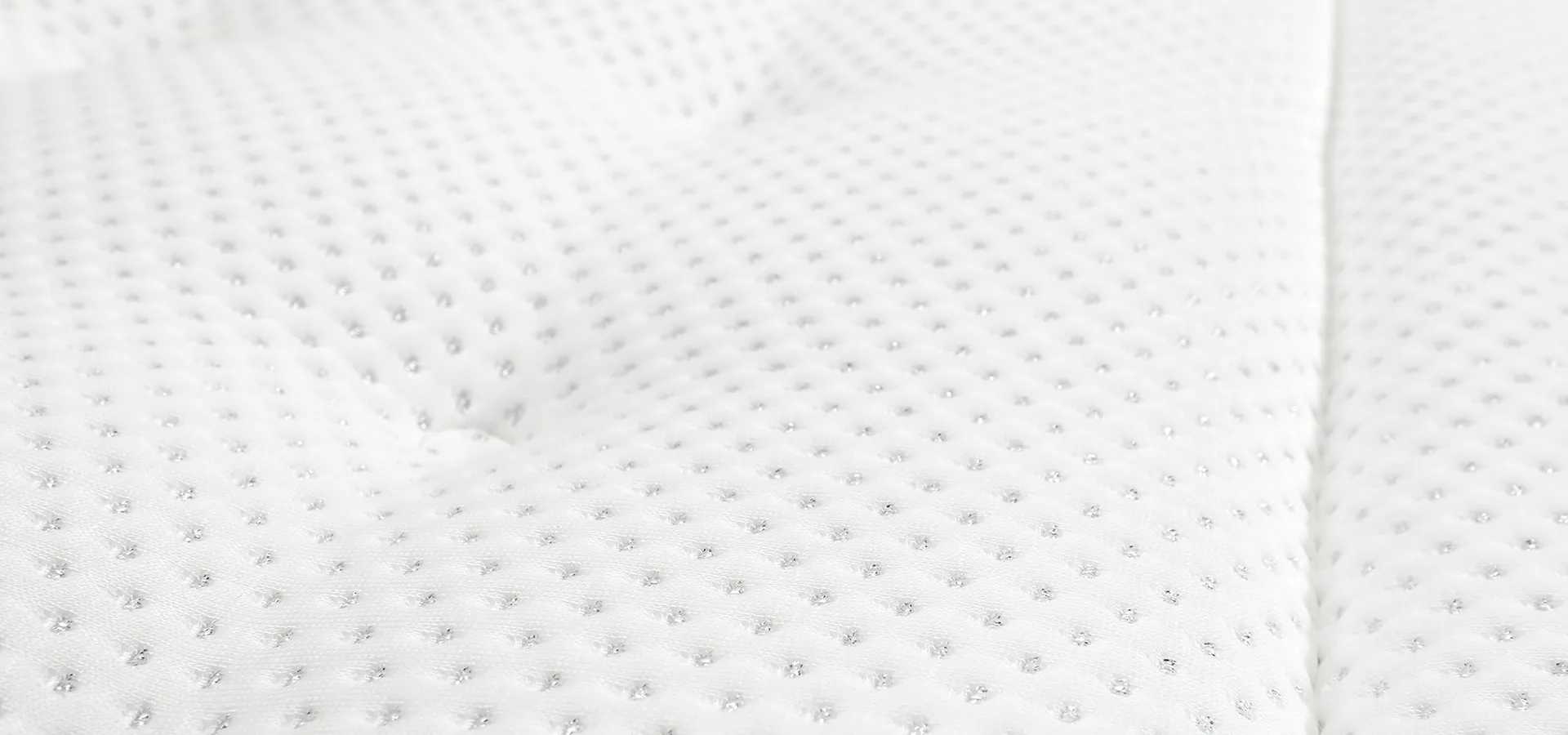 <?php echo $titleSelectedCat; ?>