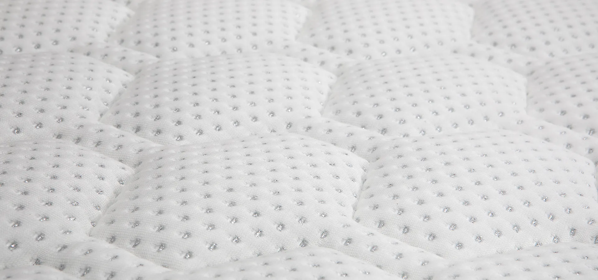 <?php echo $titleSelectedCat; ?>